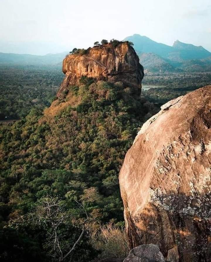 Sigiri Hunter Homestay & Hostel & Guide Room Sigiriya Exterior photo