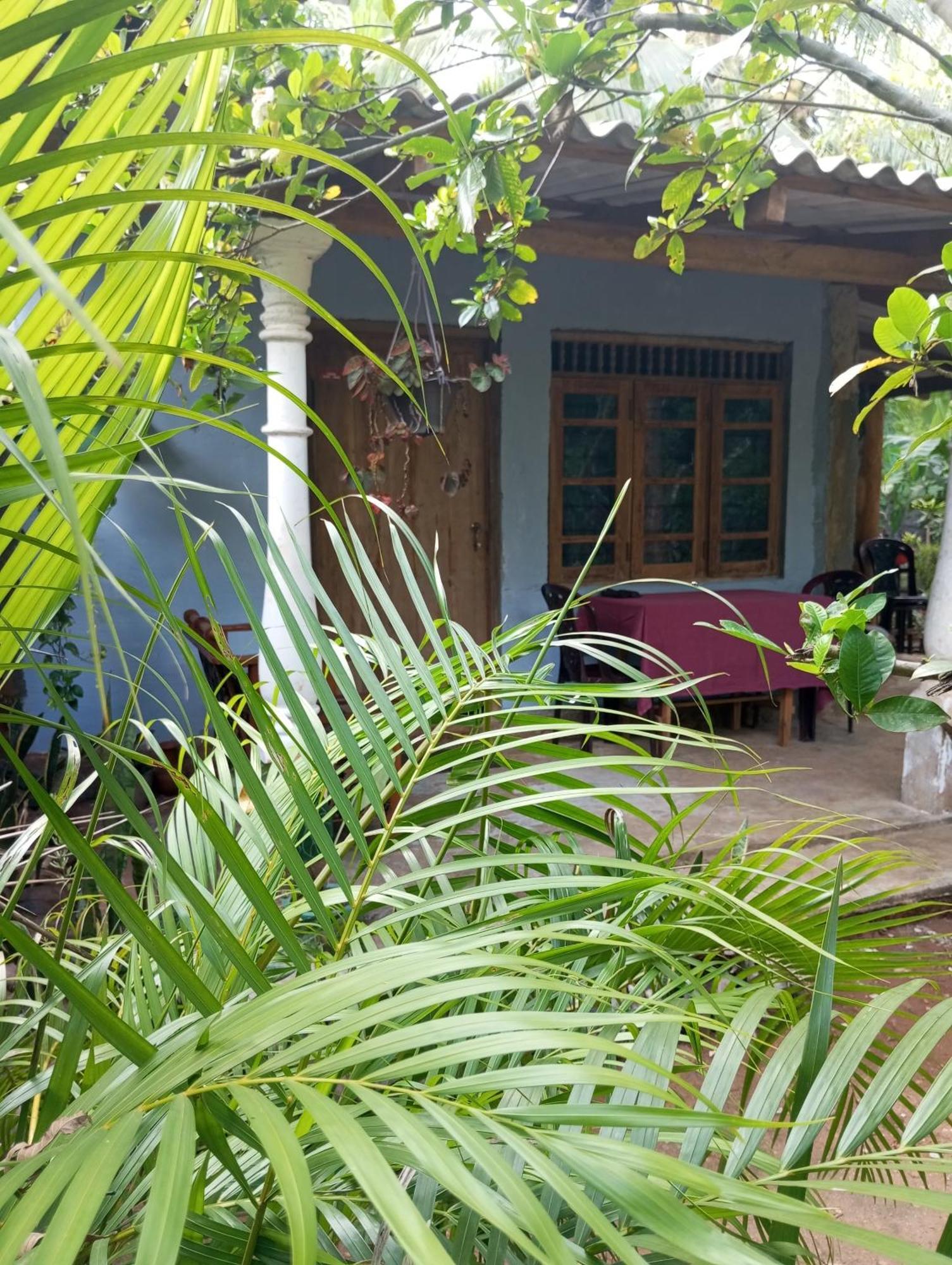 Sigiri Hunter Homestay & Hostel & Guide Room Sigiriya Exterior photo